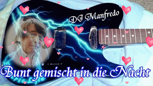 Manfredo Buntgemischt in die Nacht